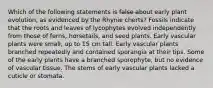 Which of the following statements is false about early plant evolution, as evidenced by the Rhynie cherts? Fossils indicate that the roots and leaves of lycophytes evolved independently from those of ferns, horsetails, and seed plants. Early vascular plants were small, up to 15 cm tall. Early vascular plants branched repeatedly and contained sporangia at their tips. Some of the early plants have a branched sporophyte, but no evidence of vascular tissue. The stems of early vascular plants lacked a cuticle or stomata.