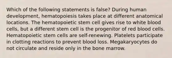 Which of the following statements is false? During human development, hematopoiesis takes place at different anatomical locations. The hematopoietic stem cell gives rise to white blood cells, but a different stem cell is the progenitor of red blood cells. Hematopoietic stem cells are self-renewing. Platelets participate in clotting reactions to prevent blood loss. Megakaryocytes do not circulate and reside only in the bone marrow.