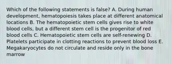 Which of the following statements is false? A. During human development, hematopoiesis takes place at different anatomical locations B. The hematopoietic stem cells gives rise to white blood cells, but a different stem cell is the progenitor of red blood cells C. Hematopoietic stem cells are self-renewing D. Platelets participate in clotting reactions to prevent blood loss E. Megakaryocytes do not circulate and reside only in the bone marrow