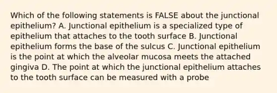 Which of the following statements is FALSE about the junctional epithelium? A. Junctional epithelium is a specialized type of epithelium that attaches to the tooth surface B. Junctional epithelium forms the base of the sulcus C. Junctional epithelium is the point at which the alveolar mucosa meets the attached gingiva D. The point at which the junctional epithelium attaches to the tooth surface can be measured with a probe