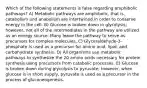 Which of the following statements is false regarding amphibolic pathways? A) Metabolic pathways are amphibolic, that is, catabolism and anabolism are intertwined in order to conserve energy in the cell. B) Glucose is broken down in glycolysis; however, not all of the intermediates in the pathway are utilized as an energy source. Many leave the pathway to serve as precursors for complex molecules. C) Glyceraldehyde-3-phosphate is used as a precursor for amino acid, lipid, and carbohydrate synthesis. D) All organisms use metabolic pathways to synthesize the 20 amino acids necessary for protein synthesis using precursors from catabolic processes. E) Glucose is broken down during glycolysis to pyruvate; however, when glucose is in short supply, pyruvate is used as a precursor in the process of gluconeogenesis.