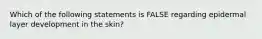 Which of the following statements is FALSE regarding epidermal layer development in the skin?