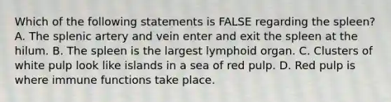 Which of the following statements is FALSE regarding the spleen? A. The splenic artery and vein enter and exit the spleen at the hilum. B. The spleen is the largest lymphoid organ. C. Clusters of white pulp look like islands in a sea of red pulp. D. Red pulp is where immune functions take place.