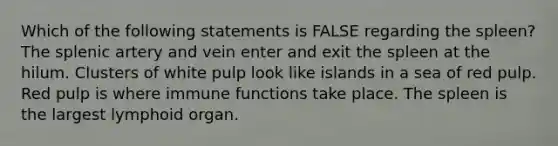 Which of the following statements is FALSE regarding the spleen? The splenic artery and vein enter and exit the spleen at the hilum. Clusters of white pulp look like islands in a sea of red pulp. Red pulp is where immune functions take place. The spleen is the largest lymphoid organ.