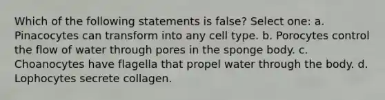 Which of the following statements is false? Select one: a. Pinacocytes can transform into any cell type. b. Porocytes control the flow of water through pores in the sponge body. c. Choanocytes have flagella that propel water through the body. d. Lophocytes secrete collagen.