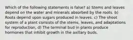 Which of the following statements is false? a) Stems and leaves depend on the water and minerals absorbed by the roots. b) Roots depend upon sugars produced in leaves. c) The shoot system of a plant consists of the stems, leaves, and adaptations for reproduction, d) The terminal bud in plants produce hormones that inhibit growth in the axillary buds.