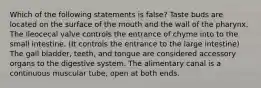 Which of the following statements is false? Taste buds are located on the surface of the mouth and the wall of the pharynx. The ileocecal valve controls the entrance of chyme into to the small intestine. (It controls the entrance to the large intestine) The gall bladder, teeth, and tongue are considered accessory organs to the digestive system. The alimentary canal is a continuous muscular tube, open at both ends.