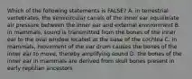 Which of the following statements is FALSE? A. in terrestrial vertebrates, the semicircular canals of the inner ear equilibrate air pressure between the inner ear and external environment B. in mammals, sound is transmitted from the bones of the inner ear to the oval window located at the base of the cochlea C. in mammals, movement of the ear drum causes the bones of the inner ear to move, thereby amplifying sound D. the bones of the inner ear in mammals are derived from skull bones present in early reptilian ancestors