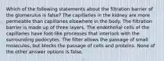 Which of the following statements about the filtration barrier of the glomerulus is false? The capillaries in the kidney are more permeable than capillaries elsewhere in the body. The filtration barrier is made up of three layers. The endothelial cells of the capillaries have foot-like processes that interlock with the surrounding podocytes. The filter allows the passage of small molecules, but blocks the passage of cells and proteins. None of the other answer options is false.