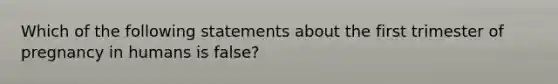 Which of the following statements about the first trimester of pregnancy in humans is false?