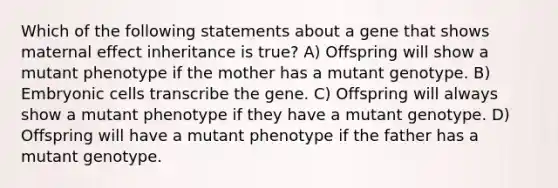 Which of the following statements about a gene that shows maternal effect inheritance is true? A) Offspring will show a mutant phenotype if the mother has a mutant genotype. B) Embryonic cells transcribe the gene. C) Offspring will always show a mutant phenotype if they have a mutant genotype. D) Offspring will have a mutant phenotype if the father has a mutant genotype.