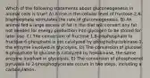 Which of the following statements about gluconeogenesis in animal cells is true? A) A rise in the cellular level of fructose-2,6-bisphosphate stimulates the rate of gluconeogenesis. B) An animal fed a large excess of fat in the diet will convert any fat not needed for energy production into glycogen to be stored for later use. C) The conversion of fructose 1,6-bisphosphate to fructose 6-phosphate is not catalyzed by phosphofructokinase-1, the enzyme involved in glycolysis. D) The conversion of glucose 6-phosphate to glucose is catalyzed by hexokinase, the same enzyme involved in glycolysis. E) The conversion of phosphoenol pyruvate to 2-phosphoglycerate occurs in two steps, including a carboxylation.