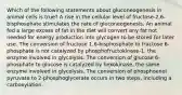 Which of the following statements about gluconeogenesis in animal cells is true? A rise in the cellular level of fructose-2,6-bisphosphate stimulates the rate of gluconeogenesis. An animal fed a large excess of fat in the diet will convert any fat not needed for energy production into glycogen to be stored for later use. The conversion of fructose 1,6-bisphosphate to fructose 6-phosphate is not catalyzed by phosphofructokinase-1, the enzyme involved in glycolysis. The conversion of glucose 6-phosphate to glucose is catalyzed by hexokinase, the same enzyme involved in glycolysis. The conversion of phosphoenol pyruvate to 2-phosphoglycerate occurs in two steps, including a carboxylation.