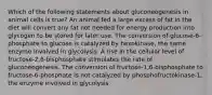 Which of the following statements about gluconeogenesis in animal cells is true? An animal fed a large excess of fat in the diet will convert any fat not needed for energy production into glycogen to be stored for later use. The conversion of glucose-6-phosphate to glucose is catalyzed by hexokinase, the same enzyme involved in glycolysis. A rise in the cellular level of fructose-2,6-bisphosphate stimulates the rate of gluconeogenesis. The conversion of fructose-1,6-bisphosphate to fructose-6-phosphate is not catalyzed by phosphofructokinase-1, the enzyme involved in glycolysis.