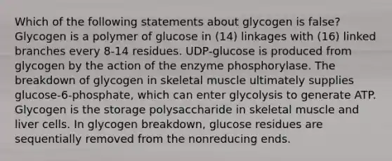 Which of the following statements about glycogen is false? Glycogen is a polymer of glucose in (14) linkages with (16) linked branches every 8-14 residues. UDP-glucose is produced from glycogen by the action of the enzyme phosphorylase. The breakdown of glycogen in skeletal muscle ultimately supplies glucose-6-phosphate, which can enter glycolysis to generate ATP. Glycogen is the storage polysaccharide in skeletal muscle and liver cells. In glycogen breakdown, glucose residues are sequentially removed from the nonreducing ends.