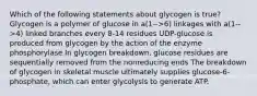 Which of the following statements about glycogen is true? Glycogen is a polymer of glucose in a(1-->6) linkages with a(1-->4) linked branches every 8-14 residues UDP-glucose is produced from glycogen by the action of the enzyme phosphorylase In glycogen breakdown, glucose residues are sequentially removed from the nonreducing ends The breakdown of glycogen in skeletal muscle ultimately supplies glucose-6-phosphate, which can enter glycolysis to generate ATP.