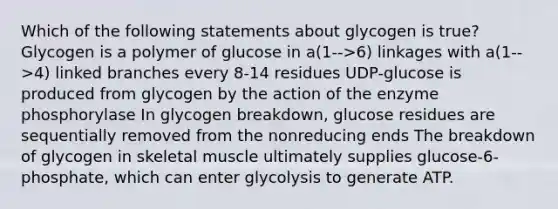 Which of the following statements about glycogen is true? Glycogen is a polymer of glucose in a(1-->6) linkages with a(1-->4) linked branches every 8-14 residues UDP-glucose is produced from glycogen by the action of the enzyme phosphorylase In glycogen breakdown, glucose residues are sequentially removed from the nonreducing ends The breakdown of glycogen in skeletal muscle ultimately supplies glucose-6-phosphate, which can enter glycolysis to generate ATP.