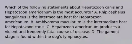 Which of the following statements about Hepatozoon canis and Hepatozoon americanum is the most accurate? A. Rhipicephalus sanguineus is the intermediate host for Hepatozoon americanum. B. Amblyomma maculatum is the intermediate host for Hepatozoon canis. C. Hepatozoon americanum produces a violent and frequently fatal course of disease. D. The gamont stage is found within the dog's lymphocytes.