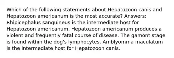 Which of the following statements about Hepatozoon canis and Hepatozoon americanum is the most accurate? Answers: Rhipicephalus sanguineus is the intermediate host for Hepatozoon americanum. Hepatozoon americanum produces a violent and frequently fatal course of disease. The gamont stage is found within the dog's lymphocytes. Amblyomma maculatum is the intermediate host for Hepatozoon canis.