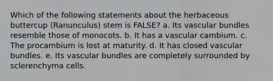 Which of the following statements about the herbaceous buttercup (Ranunculus) stem is FALSE? a. Its vascular bundles resemble those of monocots. b. It has a vascular cambium. c. The procambium is lost at maturity. d. It has closed vascular bundles. e. Its vascular bundles are completely surrounded by sclerenchyma cells.