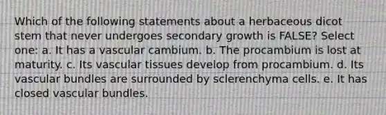 Which of the following statements about a herbaceous dicot stem that never undergoes secondary growth is FALSE? Select one: a. It has a vascular cambium. b. The procambium is lost at maturity. c. Its <a href='https://www.questionai.com/knowledge/k1HVFq17mo-vascular-tissue' class='anchor-knowledge'>vascular tissue</a>s develop from procambium. d. Its vascular bundles are surrounded by sclerenchyma cells. e. It has closed vascular bundles.