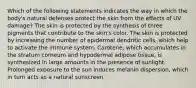 Which of the following statements indicates the way in which the body's natural defenses protect the skin from the effects of UV damage? The skin is protected by the synthesis of three pigments that contribute to the skin's color. The skin is protected by increasing the number of epidermal dendritic cells, which help to activate the immune system. Carotene, which accumulates in the stratum corneum and hypodermal adipose tissue, is synthesized in large amounts in the presence of sunlight. Prolonged exposure to the sun induces melanin dispersion, which in turn acts as a natural sunscreen.