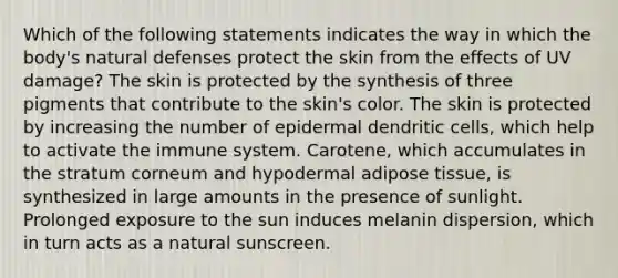 Which of the following statements indicates the way in which the body's natural defenses protect the skin from the effects of UV damage? The skin is protected by the synthesis of three pigments that contribute to the skin's color. The skin is protected by increasing the number of epidermal dendritic cells, which help to activate the immune system. Carotene, which accumulates in the stratum corneum and hypodermal adipose tissue, is synthesized in large amounts in the presence of sunlight. Prolonged exposure to the sun induces melanin dispersion, which in turn acts as a natural sunscreen.