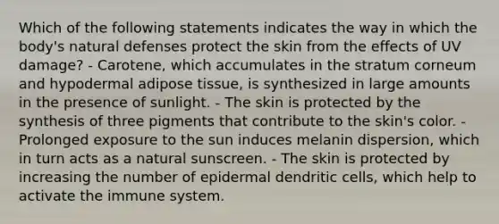 Which of the following statements indicates the way in which the body's natural defenses protect the skin from the effects of UV damage? - Carotene, which accumulates in the stratum corneum and hypodermal adipose tissue, is synthesized in large amounts in the presence of sunlight. - The skin is protected by the synthesis of three pigments that contribute to the skin's color. - Prolonged exposure to the sun induces melanin dispersion, which in turn acts as a natural sunscreen. - The skin is protected by increasing the number of epidermal dendritic cells, which help to activate the immune system.