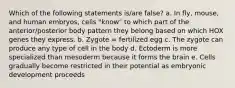 Which of the following statements is/are false? a. In fly, mouse, and human embryos, cells "know" to which part of the anterior/posterior body pattern they belong based on which HOX genes they express. b. Zygote = fertilized egg c. The zygote can produce any type of cell in the body d. Ectoderm is more specialized than mesoderm because it forms the brain e. Cells gradually become restricted in their potential as embryonic development proceeds