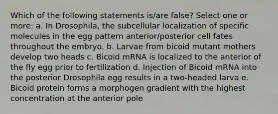 Which of the following statements is/are false? Select one or more: a. In Drosophila, the subcellular localization of specific molecules in the egg pattern anterior/posterior cell fates throughout the embryo. b. Larvae from bicoid mutant mothers develop two heads c. Bicoid mRNA is localized to the anterior of the fly egg prior to fertilization d. Injection of Bicoid mRNA into the posterior Drosophila egg results in a two-headed larva e. Bicoid protein forms a morphogen gradient with the highest concentration at the anterior pole