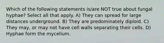 Which of the following statements is/are NOT true about fungal hyphae? Select all that apply. A) They can spread for large distances underground. B) They are predominately diploid. C) They may, or may not have cell walls separating their cells. D) Hyphae form the mycelium.