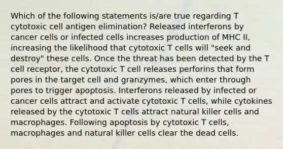 Which of the following statements is/are true regarding T cytotoxic cell antigen elimination? Released interferons by cancer cells or infected cells increases production of MHC II, increasing the likelihood that cytotoxic T cells will "seek and destroy" these cells. Once the threat has been detected by the T cell receptor, the cytotoxic T cell releases perforins that form pores in the target cell and granzymes, which enter through pores to trigger apoptosis. Interferons released by infected or cancer cells attract and activate cytotoxic T cells, while cytokines released by the cytotoxic T cells attract natural killer cells and macrophages. Following apoptosis by cytotoxic T cells, macrophages and natural killer cells clear the dead cells.