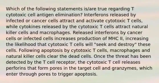 Which of the following statements is/are true regarding T cytotoxic cell antigen elimination? Interferons released by infected or cancer cells attract and activate cytotoxic T cells, while cytokines released by the cytotoxic T cells attract natural killer cells and macrophages. Released interferons by cancer cells or infected cells increases production of MHC II, increasing the likelihood that cytotoxic T cells will "seek and destroy" these cells. Following apoptosis by cytotoxic T cells, macrophages and natural killer cells clear the dead cells. Once the threat has been detected by the T cell receptor, the cytotoxic T cell releases perforins that form pores in the target cell and granzymes, which enter through pores to trigger apoptosis.