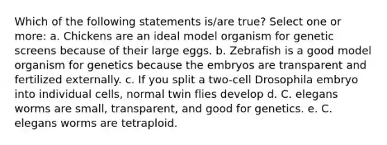 Which of the following statements is/are true? Select one or more: a. Chickens are an ideal model organism for genetic screens because of their large eggs. b. Zebrafish is a good model organism for genetics because the embryos are transparent and fertilized externally. c. If you split a two-cell Drosophila embryo into individual cells, normal twin flies develop d. C. elegans worms are small, transparent, and good for genetics. e. C. elegans worms are tetraploid.