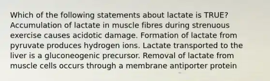 Which of the following statements about lactate is TRUE? Accumulation of lactate in muscle fibres during strenuous exercise causes acidotic damage. Formation of lactate from pyruvate produces hydrogen ions. Lactate transported to the liver is a gluconeogenic precursor. Removal of lactate from muscle cells occurs through a membrane antiporter protein