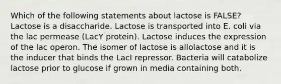 Which of the following statements about lactose is FALSE? Lactose is a disaccharide. Lactose is transported into E. coli via the lac permease (LacY protein). Lactose induces the expression of the lac operon. The isomer of lactose is allolactose and it is the inducer that binds the LacI repressor. Bacteria will catabolize lactose prior to glucose if grown in media containing both.