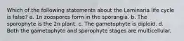 Which of the following statements about the Laminaria life cycle is false? a. 1n zoospores form in the sporangia. b. The sporophyte is the 2n plant. c. The gametophyte is diploid. d. Both the gametophyte and sporophyte stages are multicellular.