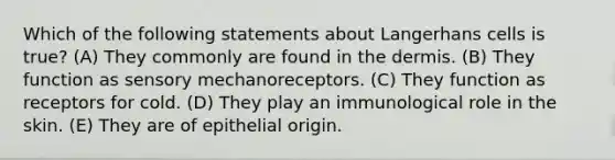 Which of the following statements about Langerhans cells is true? (A) They commonly are found in the dermis. (B) They function as sensory mechanoreceptors. (C) They function as receptors for cold. (D) They play an immunological role in the skin. (E) They are of epithelial origin.