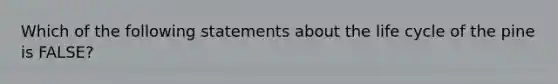 Which of the following statements about the life cycle of the pine is FALSE?