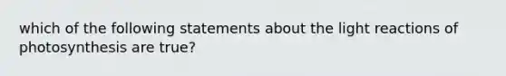 which of the following statements about the light reactions of photosynthesis are true?