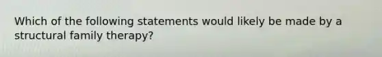 Which of the following statements would likely be made by a structural family therapy?