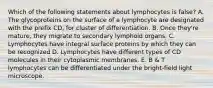 Which of the following statements about lymphocytes is false? A. The glycoproteins on the surface of a lymphocyte are designated with the prefix CD, for cluster of differentiation. B. Once they're mature, they migrate to secondary lymphoid organs. C. Lymphocytes have integral surface proteins by which they can be recognized D. Lymphocytes have different types of CD molecules in their cytoplasmic membranes. E. B & T lymphocytes can be differentiated under the bright-field light microscope.