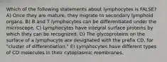 Which of the following statements about lymphocytes is FALSE? A) Once they are mature, they migrate to secondary lymphoid organs. B) B and T lymphocytes can be differentiated under the microscope. C) Lymphocytes have integral surface proteins by which they can be recognized. D) The glycoproteins on the surface of a lymphocyte are designated with the prefix CD, for "cluster of differentiation." E) Lymphocytes have different types of CD molecules in their cytoplasmic membranes.