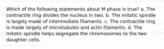 Which of the following statements about M phase is true? a. The contractile ring divides the nucleus in two. b. The mitotic spindle is largely made of intermediate filaments. c. The contractile ring is made largely of microtubules and actin filaments. d. The mitotic spindle helps segregate the chromosomes to the two daughter cells.