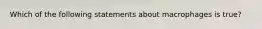 Which of the following statements about macrophages is true?