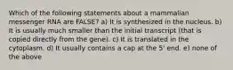 Which of the following statements about a mammalian messenger RNA are FALSE? a) It is synthesized in the nucleus. b) It is usually much smaller than the initial transcript (that is copied directly from the gene). c) It is translated in the cytoplasm. d) It usually contains a cap at the 5' end. e) none of the above