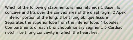 Which of the following statements is mismatched? 1-Base - Is concave and fits over the convex area of the diaphragm. 2-Apex - Inferior portion of the lung. 3-Left lung oblique fissure - Separates the superior lobe from the inferior lobe. 4-Lobules - Compartments of each bronchopulmonary segment. 5-Cardiac notch - Left lung concavity in which the heart lies.