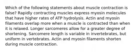 Which of the following statements about muscle contraction is false? Rapidly contracting muscles express myosin molecules that have higher rates of ATP hydrolysis. Actin and myosin filaments overlap more when a muscle is contracted than when it is relaxed. Longer sarcomeres allow for a greater degree of shortening. Sarcomere length is variable in invertebrates, but uniform in vertebrates. Actin and myosin filaments shorten during muscle contraction.