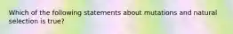 Which of the following statements about mutations and natural selection is true?