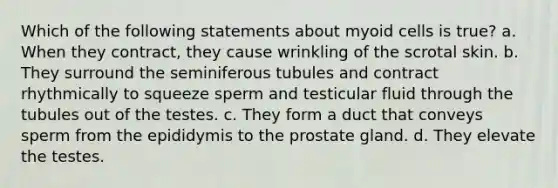 Which of the following statements about myoid cells is true? a. When they contract, they cause wrinkling of the scrotal skin. b. They surround the seminiferous tubules and contract rhythmically to squeeze sperm and testicular fluid through the tubules out of the testes. c. They form a duct that conveys sperm from the epididymis to the prostate gland. d. They elevate the testes.